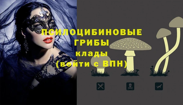 мескалин Алексин