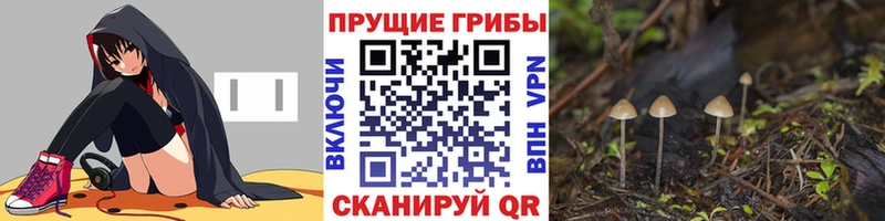 Псилоцибиновые грибы Cubensis  Верхоянск 